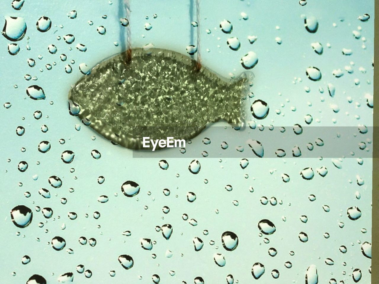 CLOSE-UP OF RAINDROPS ON WATER DROPS