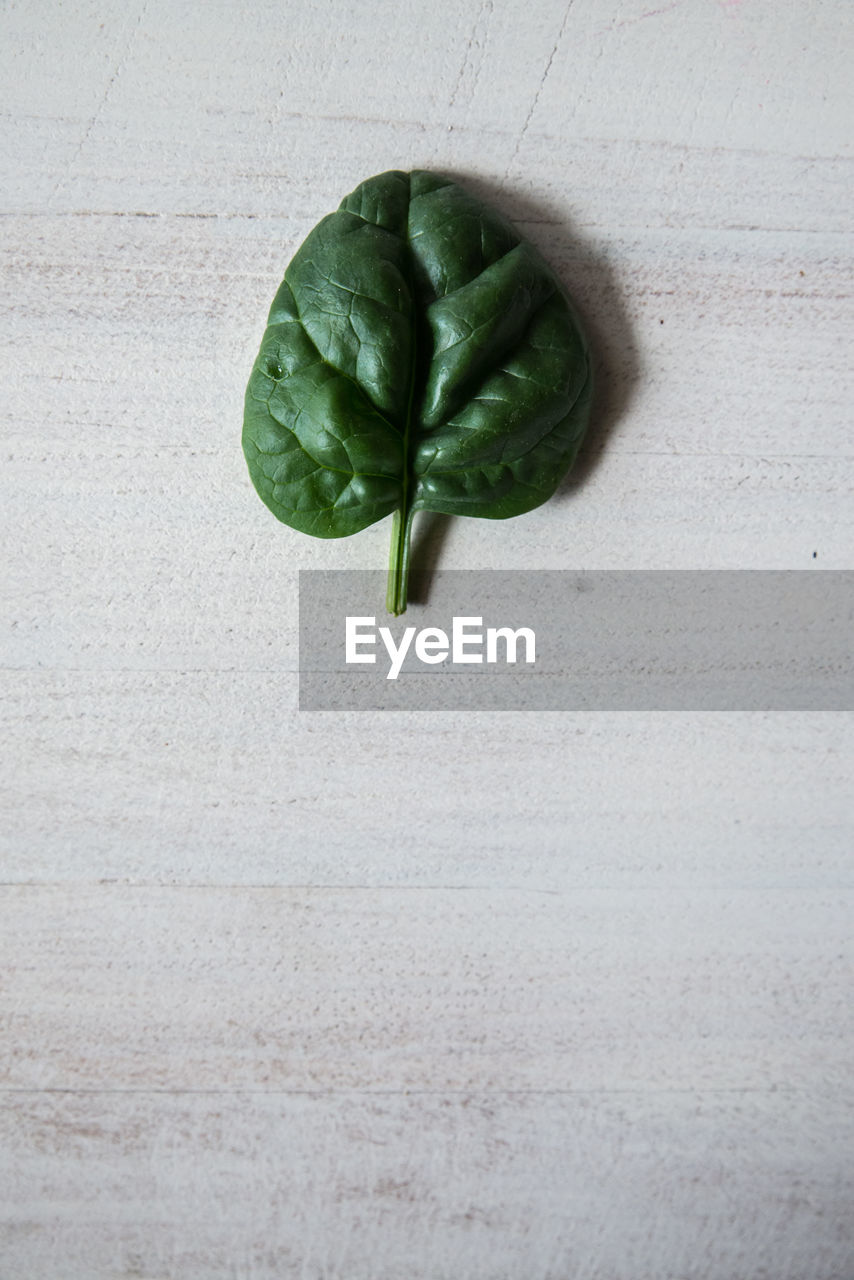 Directly above shot of spinach on wooden table