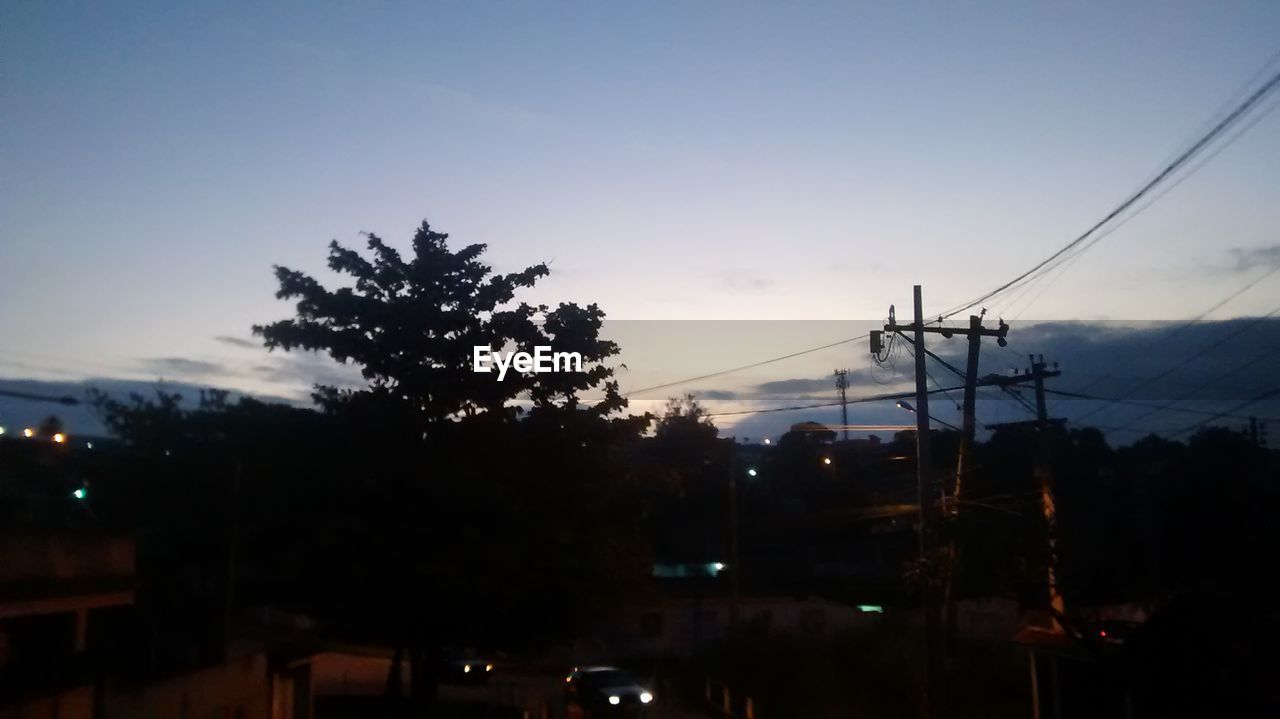 SILHOUETTE TREES AGAINST SKY DURING SUNSET