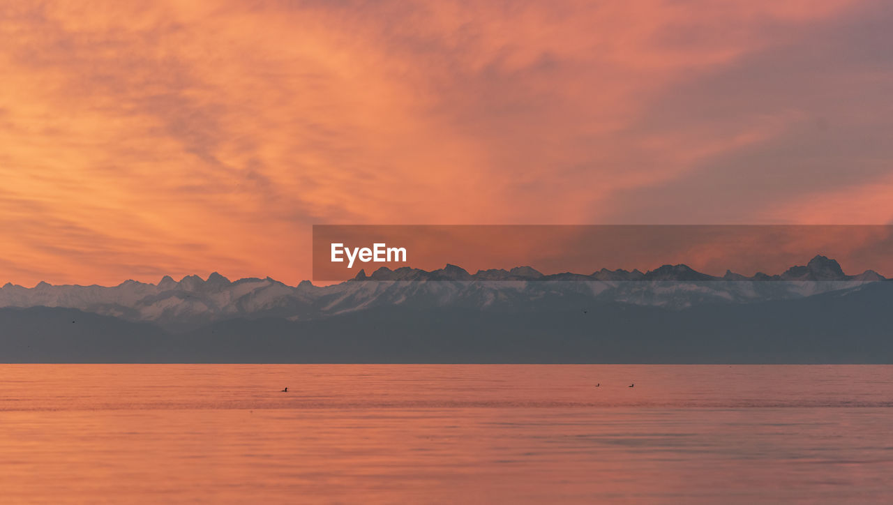 Landscape at sunset, the lake constance and the european alps at the horizon. sky reflected in lake.