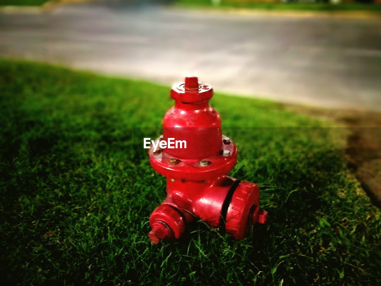 CLOSE-UP OF FIRE HYDRANT ON GRASS