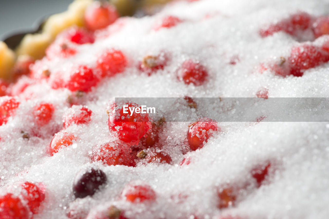 CLOSE-UP OF DESSERT