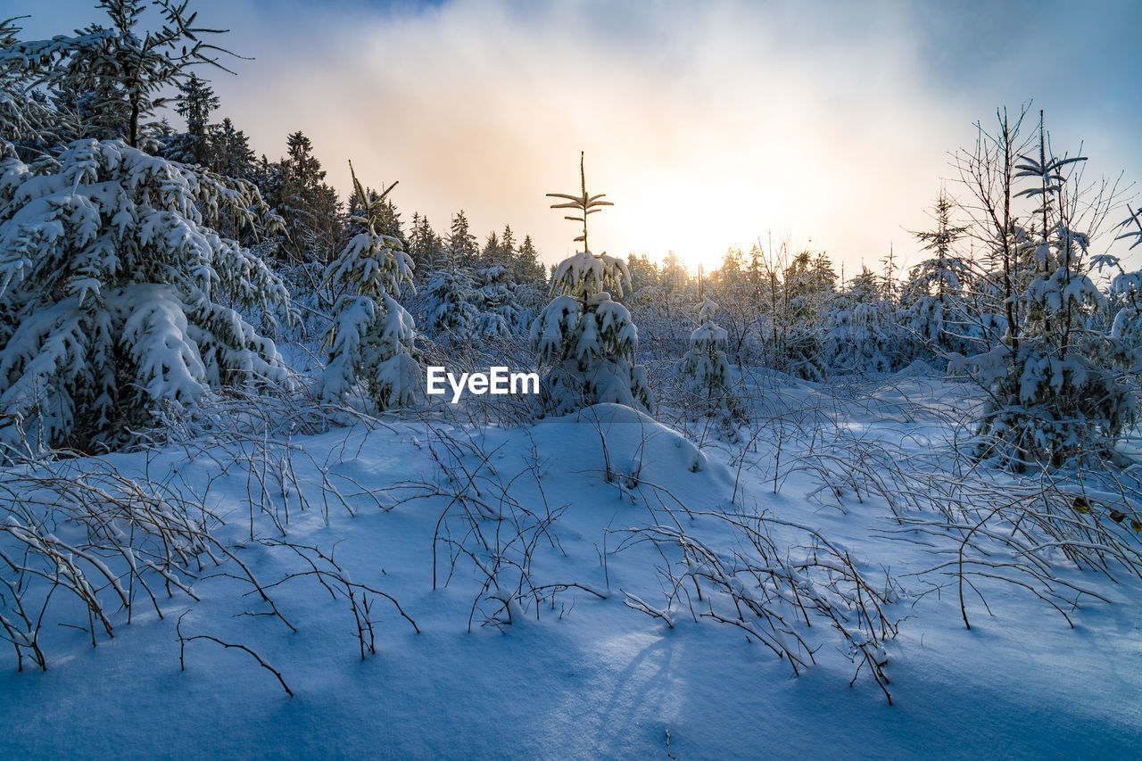 SNOW COVERED LAND AGAINST SKY