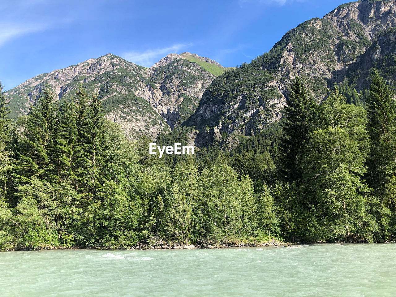 SCENIC VIEW OF TREE BY MOUNTAINS AGAINST SKY