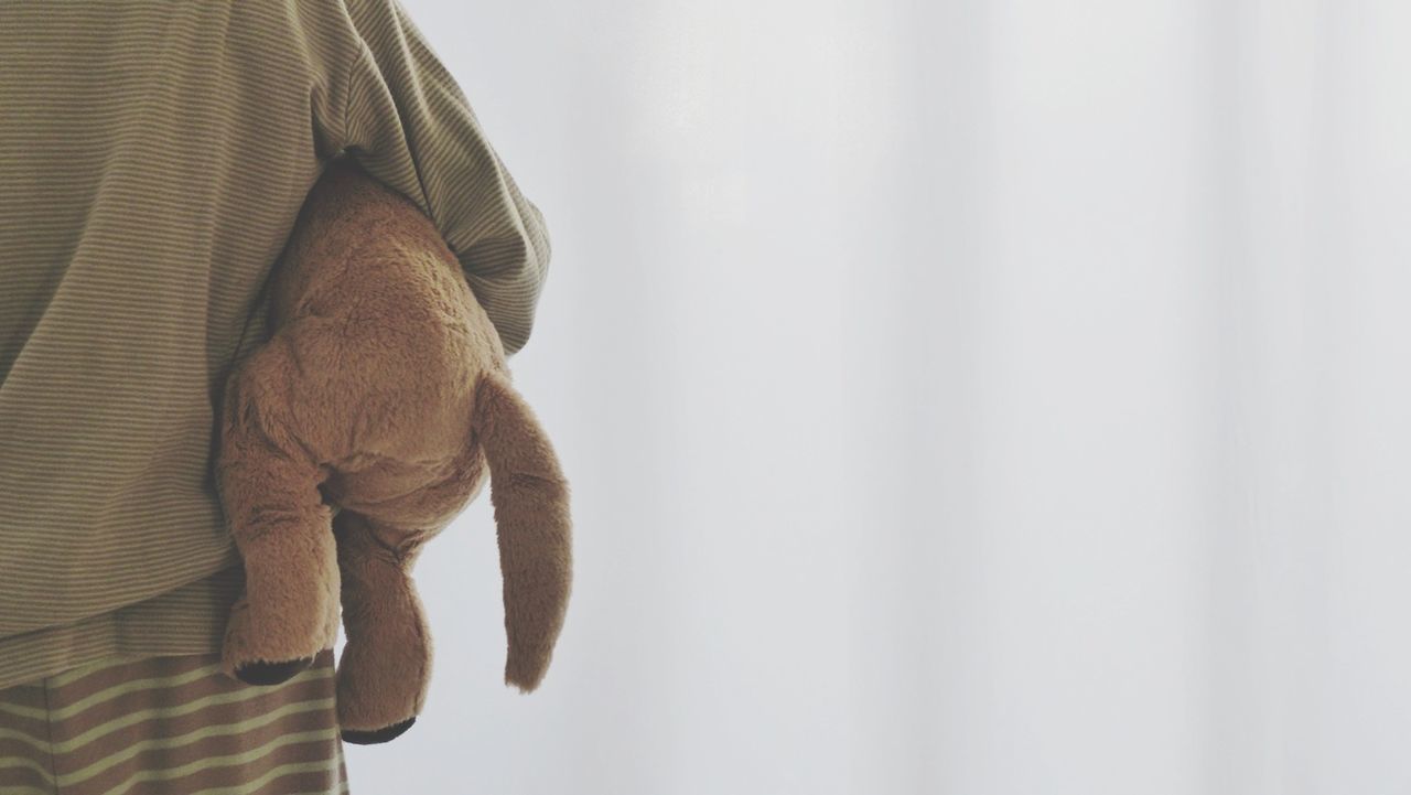 Cropped image of person holding toy