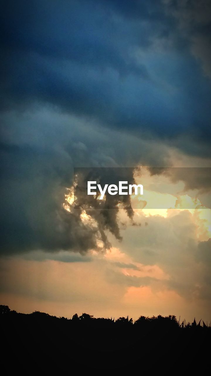 LOW ANGLE VIEW OF SILHOUETTE TREES AGAINST DRAMATIC SKY