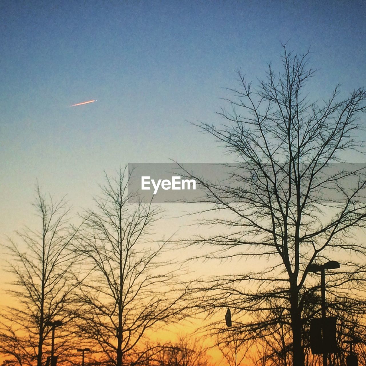 LOW ANGLE VIEW OF SILHOUETTE BARE TREES AGAINST SKY