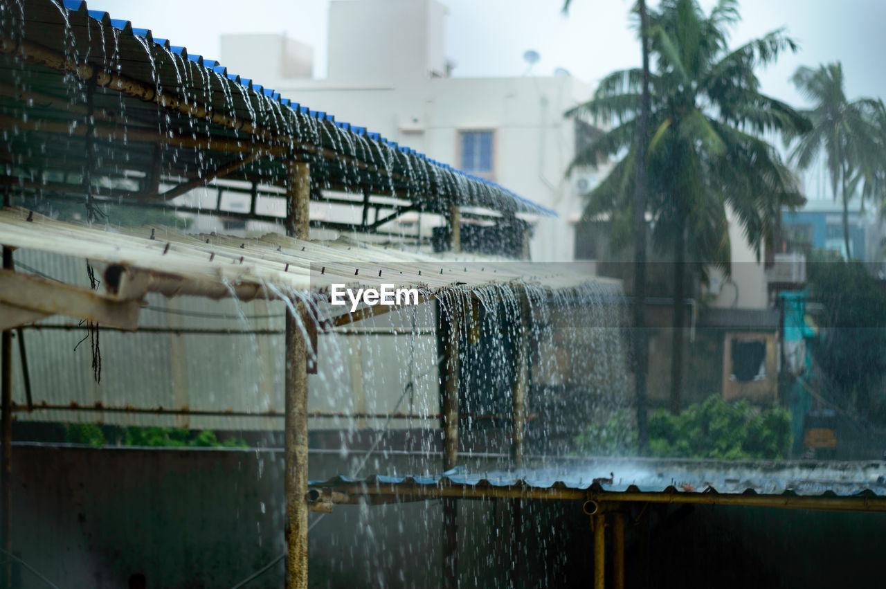 urban area, water, architecture, nature, reflection, tropical climate, palm tree, built structure, tree, no people, day, outdoors, plant, building exterior