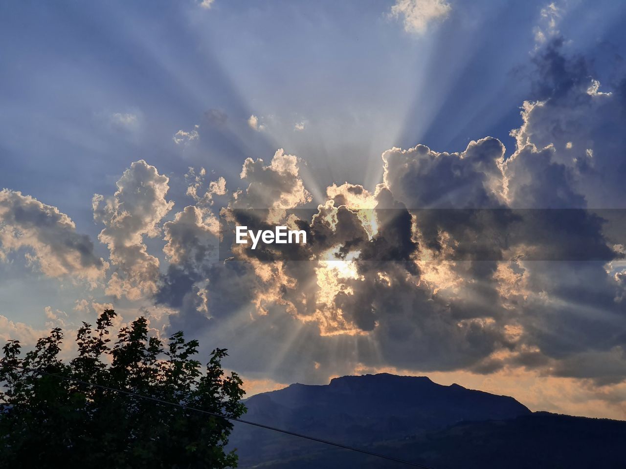 LOW ANGLE VIEW OF SUNLIGHT STREAMING THROUGH TREES AGAINST SKY