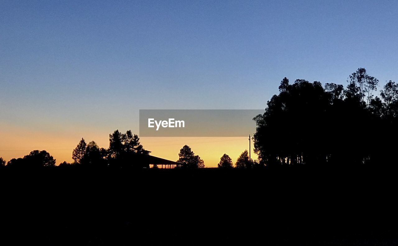 SILHOUETTE TREES GROWING ON FIELD AGAINST CLEAR SKY DURING SUNSET