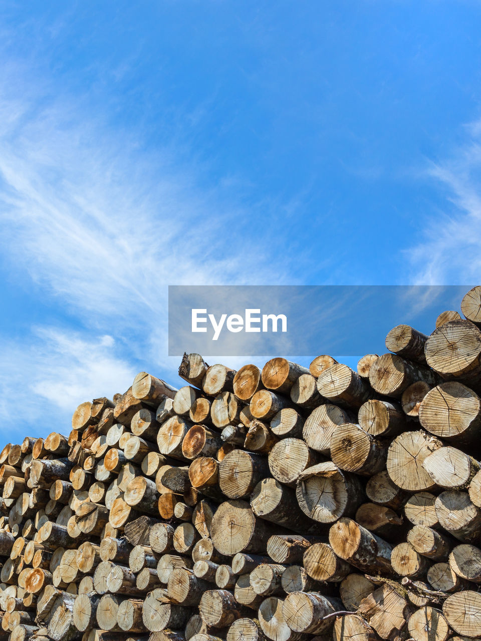 STACK OF LOGS AGAINST SKY