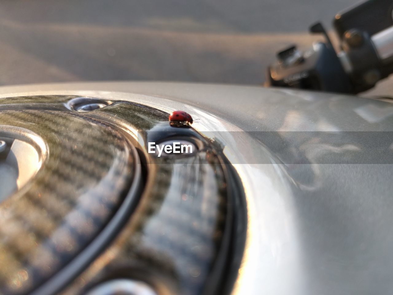 Close-up of ladybug on car