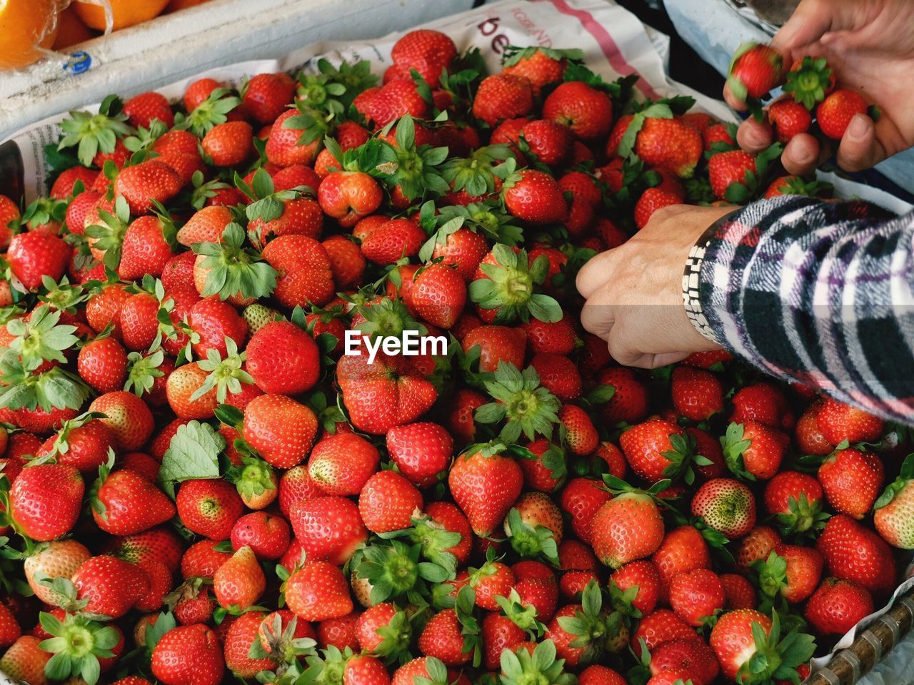 Full frame shot of fruits for sale at market stall