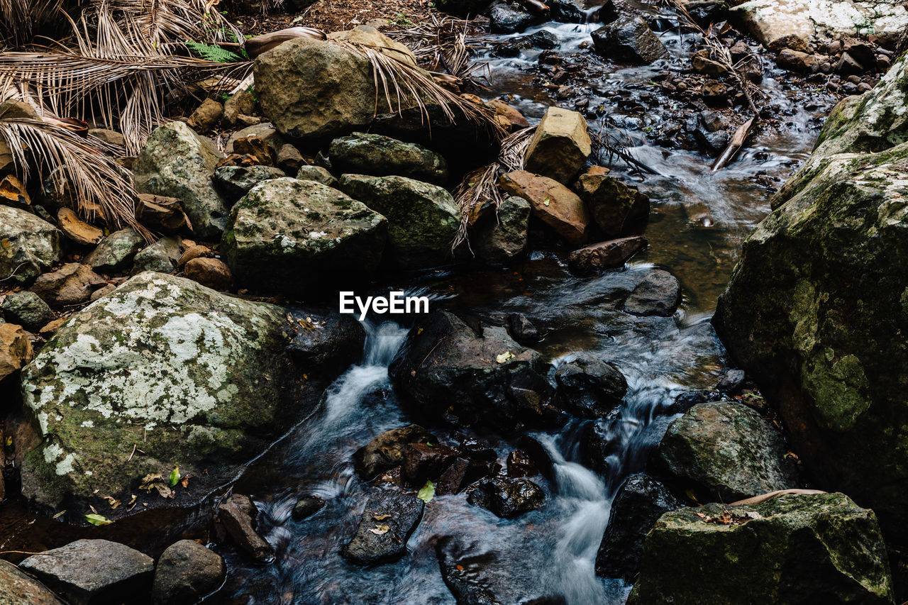 WATER FLOWING THROUGH ROCKS IN FOREST