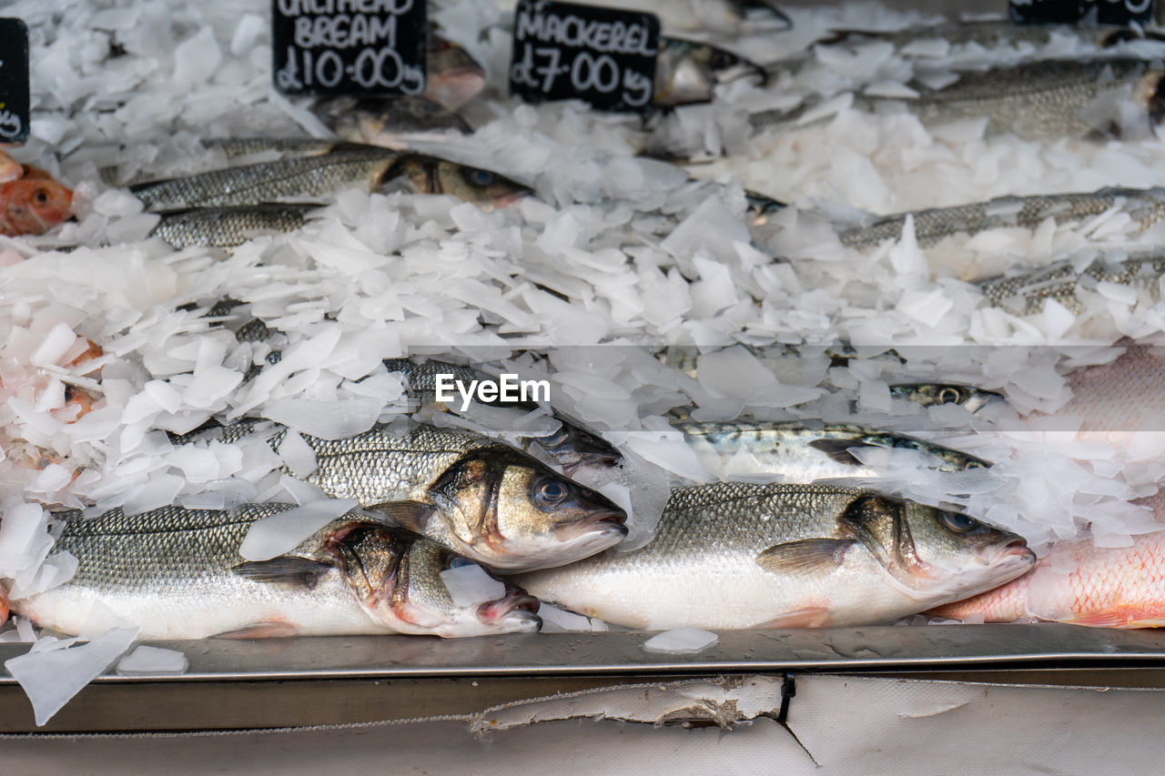 Fish for sale at market stall
