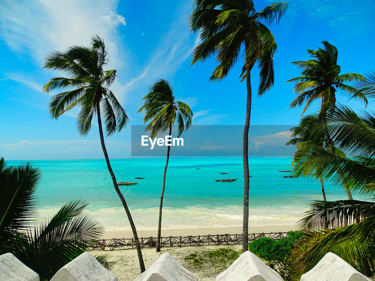 PALM TREE BY SWIMMING POOL AGAINST SKY