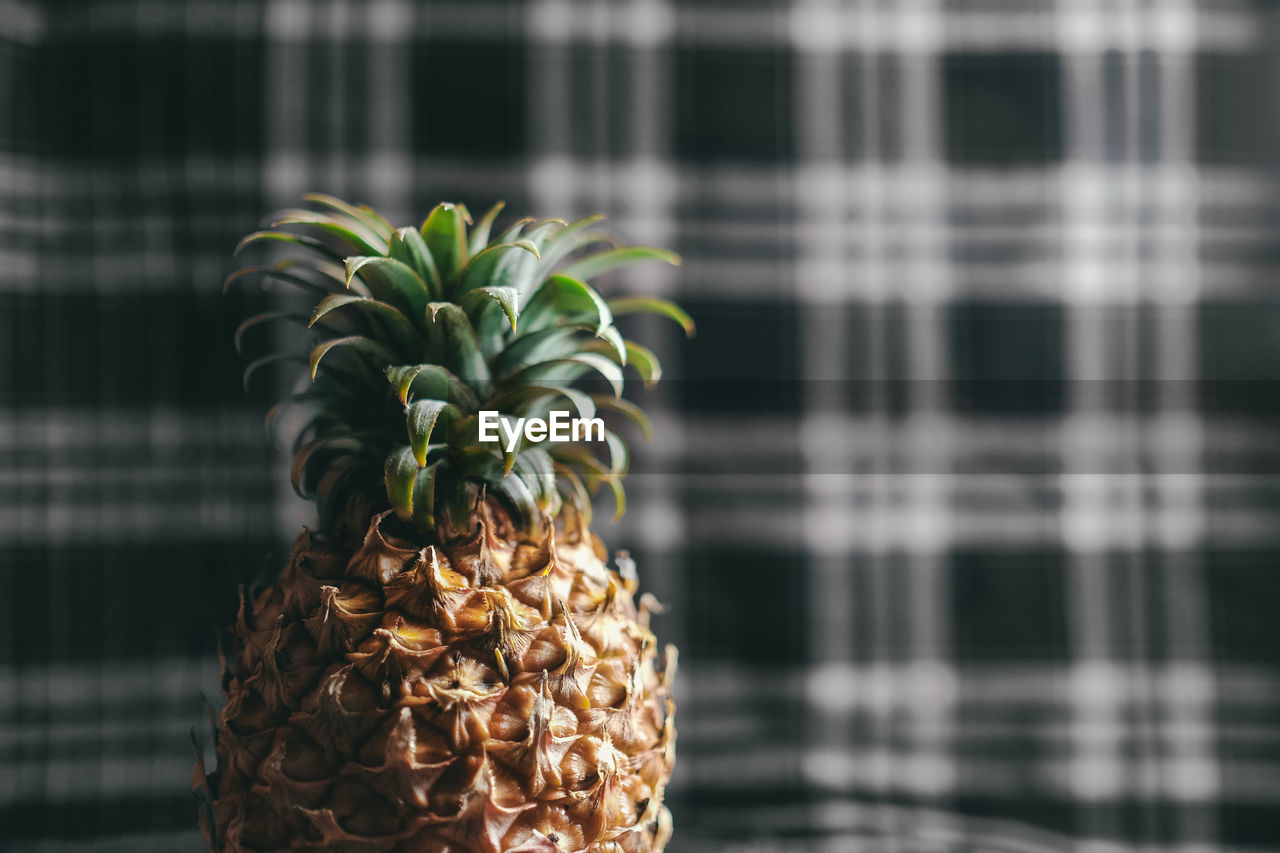 Close-up of pineapple against chequred fabric background