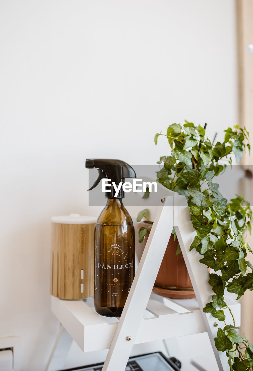 CLOSE-UP OF POTTED PLANT ON TABLE AGAINST WHITE WALL