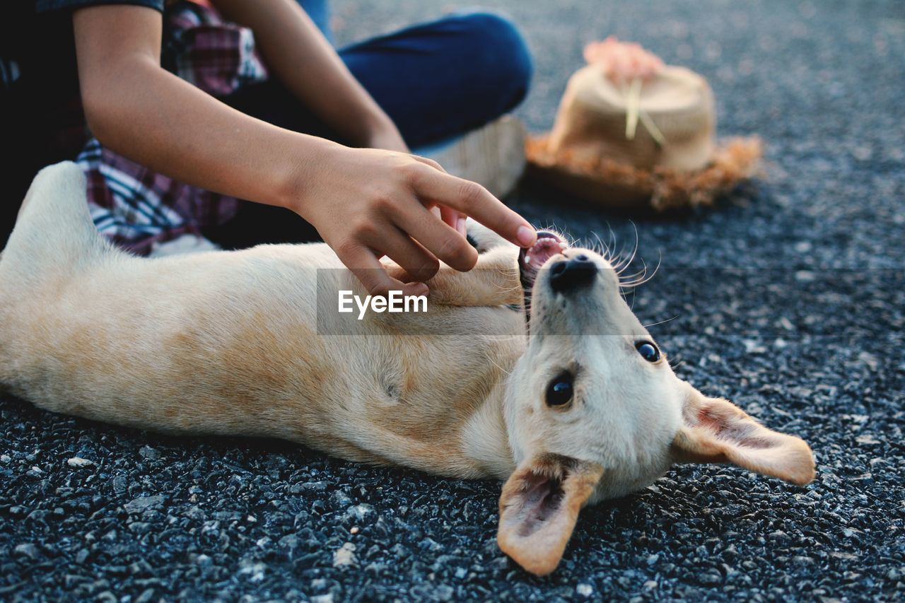 Low section of people sitting with dog