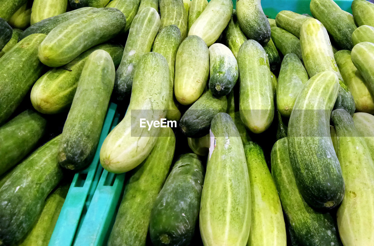 FULL FRAME SHOT OF FRESH VEGETABLES