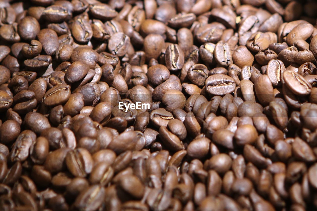 Newly roasted coffee beans 