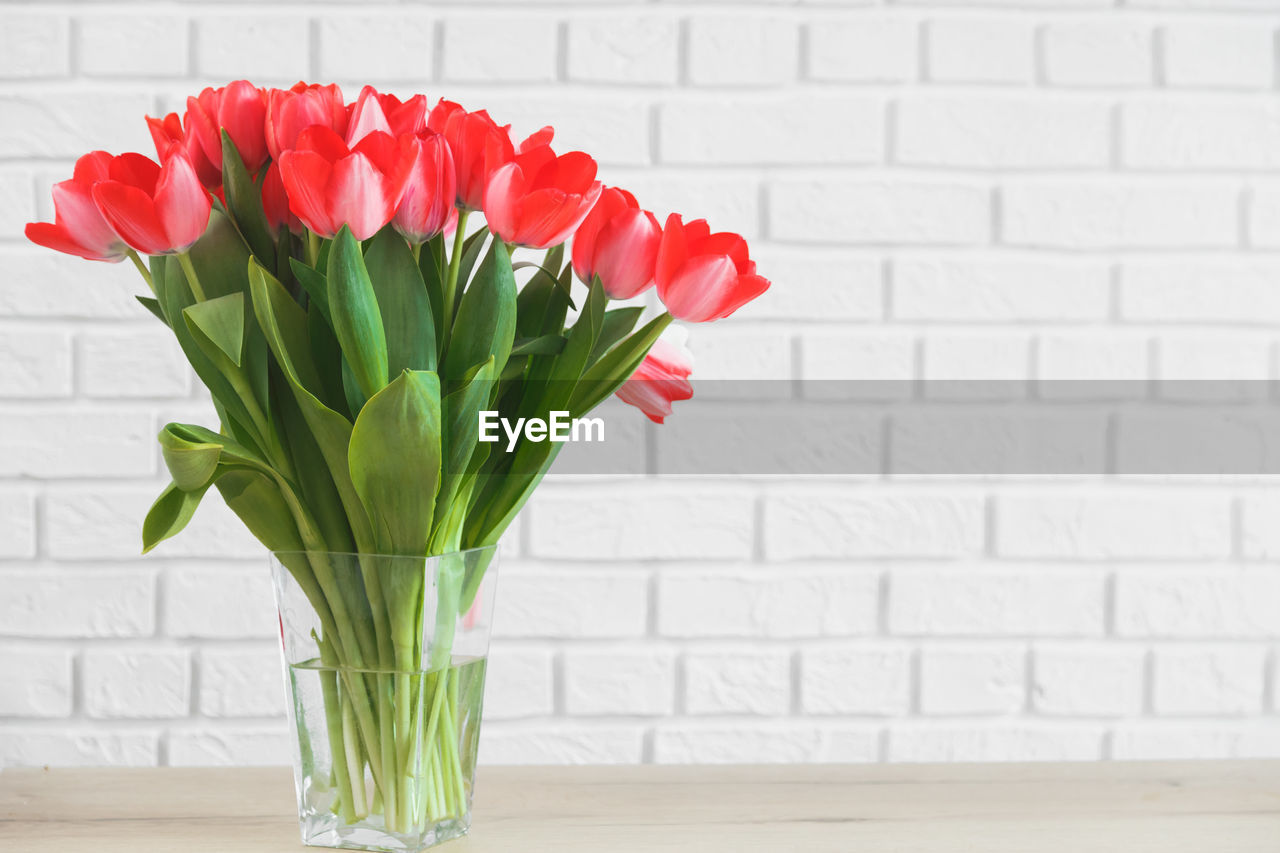 CLOSE-UP OF TULIP FLOWER VASE ON TABLE