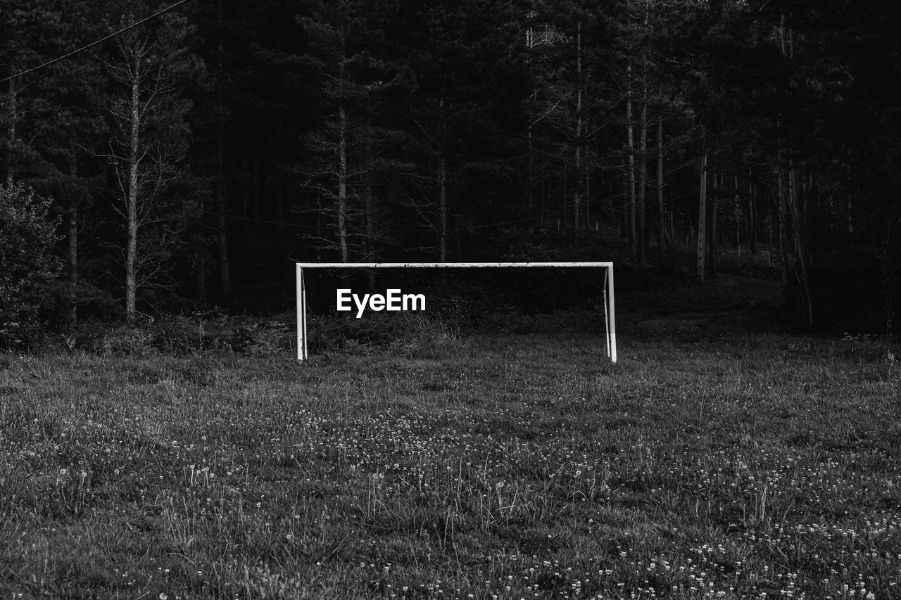 LOW ANGLE VIEW OF SOCCER FIELD