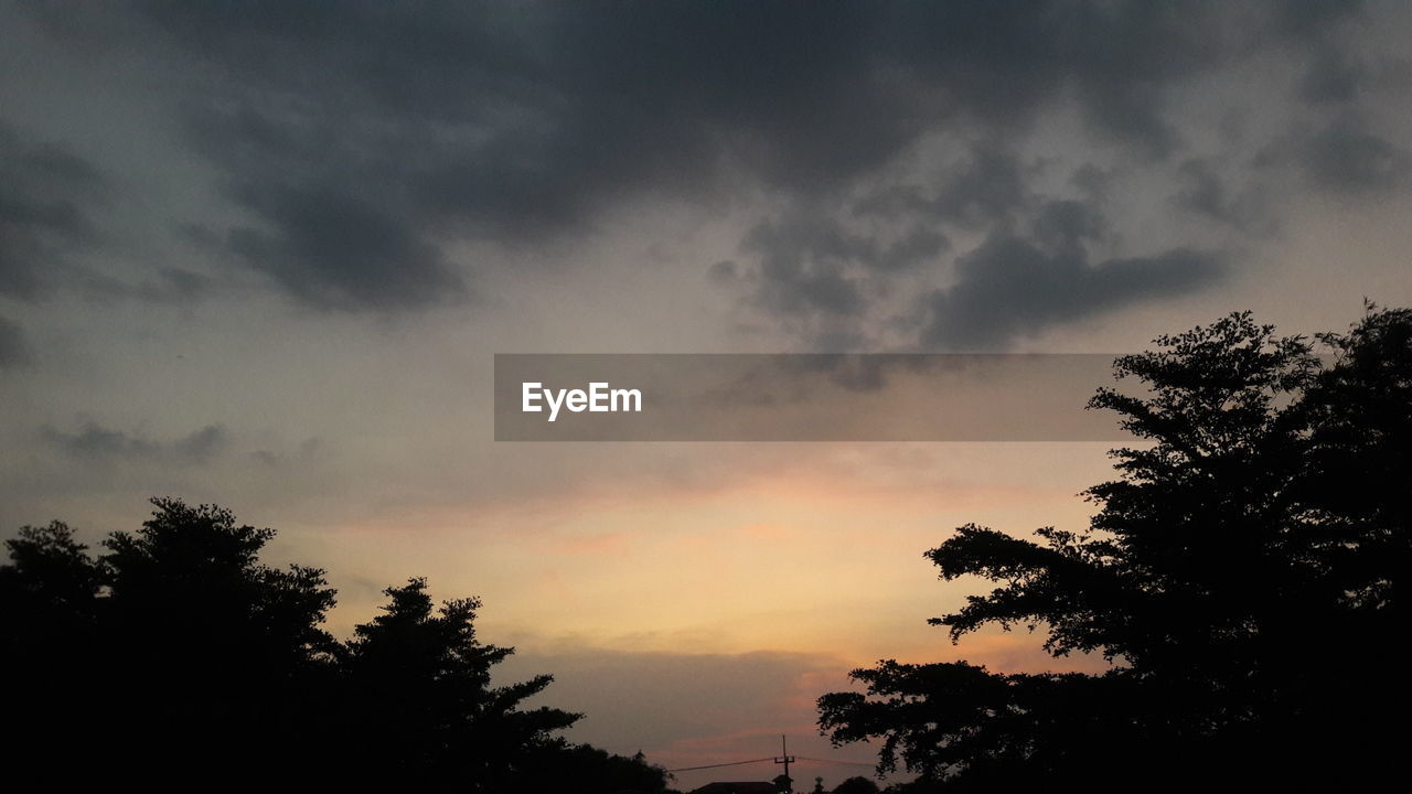 LOW ANGLE VIEW OF SILHOUETTE TREES AGAINST SKY