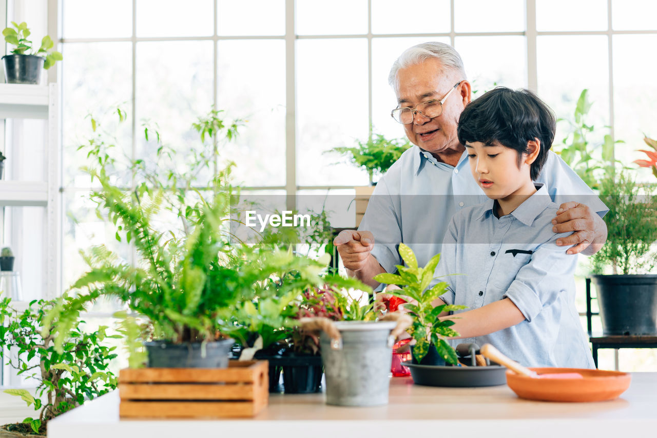 Man and boy standing by potted plants