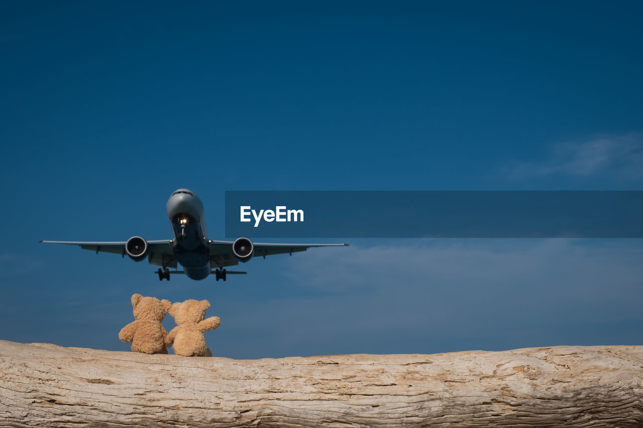 Low angle view of airplane flying over teddy bear