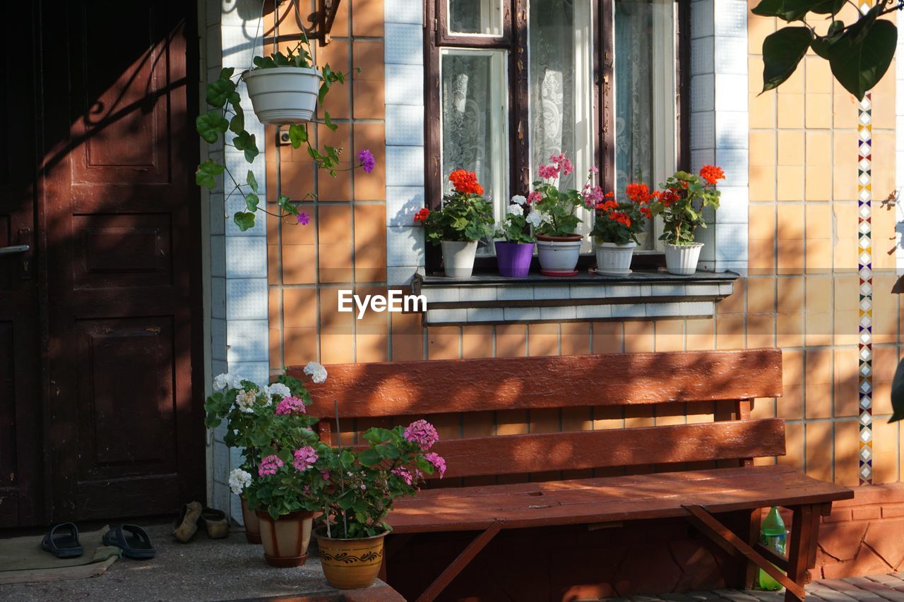 POTTED PLANTS BY WINDOW OF BUILDING