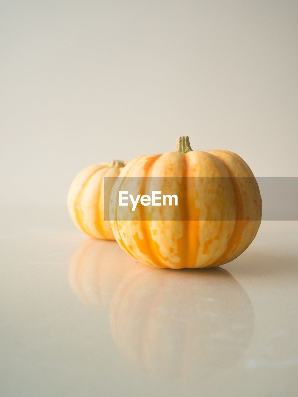 Close-up of pumpkins on table against white background