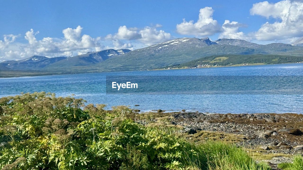 mountain, water, scenics - nature, beauty in nature, landscape, sky, environment, lake, nature, cloud, mountain range, plant, land, wilderness, tranquil scene, travel destinations, tranquility, travel, body of water, no people, reservoir, day, snow, non-urban scene, coast, tourism, blue, outdoors, shore, highland, beach, cold temperature, idyllic, bay, tree, animal wildlife, grass, winter, snowcapped mountain