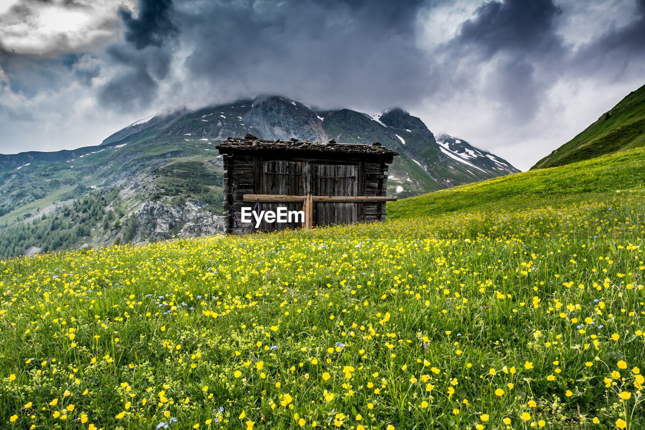 BUILT STRUCTURE ON FIELD AGAINST SKY