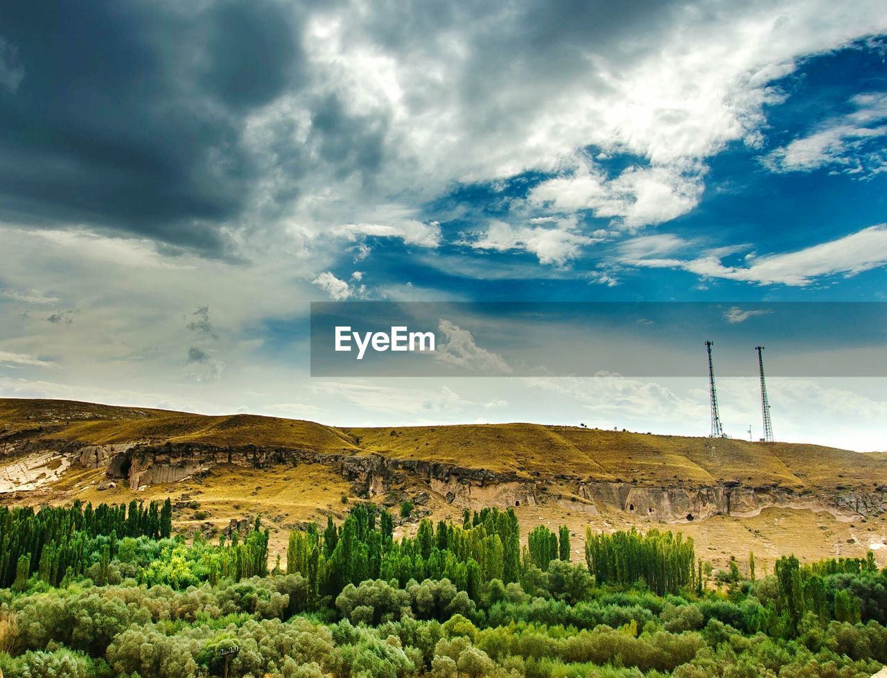 High angle view of trees on landscape against mountains