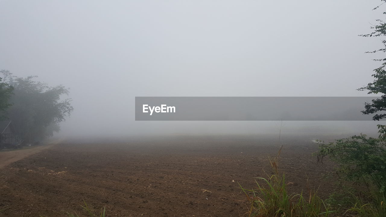 SCENIC VIEW OF LANDSCAPE IN FOGGY WEATHER