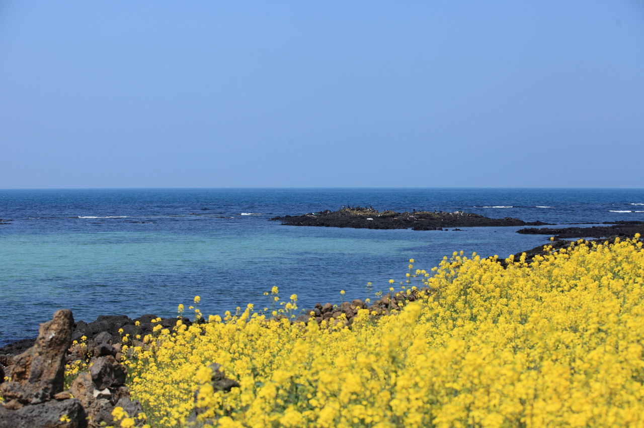 Scenic view of sea against clear blue sky