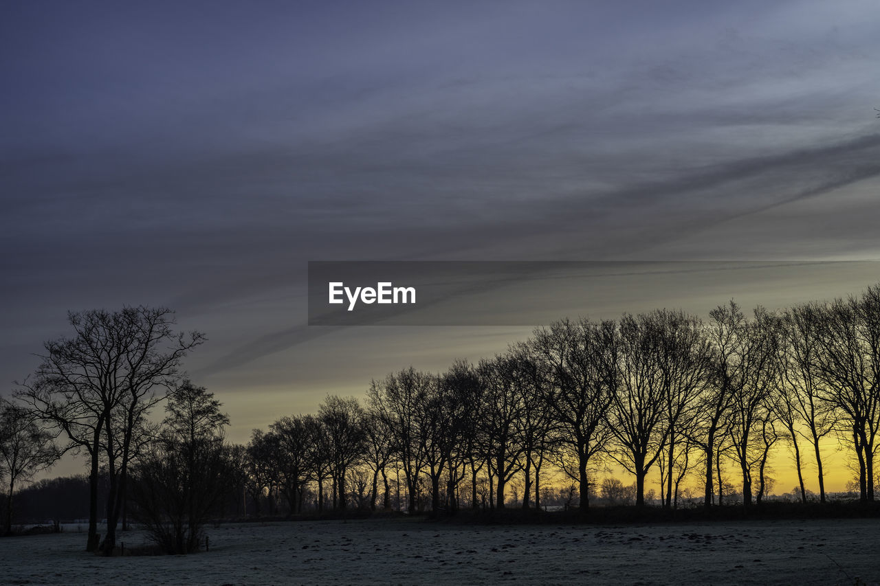 Silhouette bare trees by plants against sky during sunset