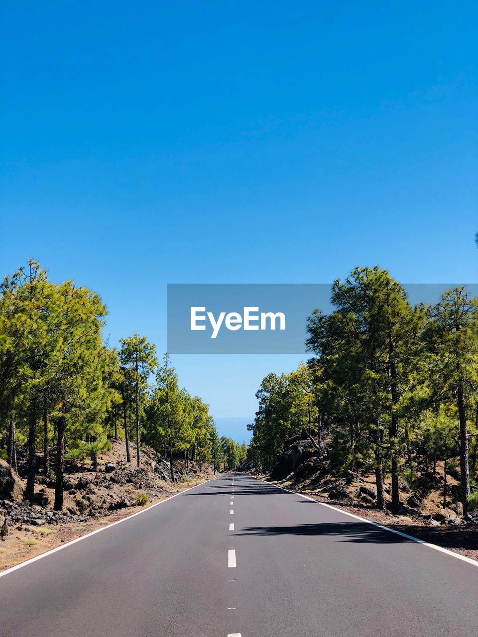 Road amidst trees against clear blue sky