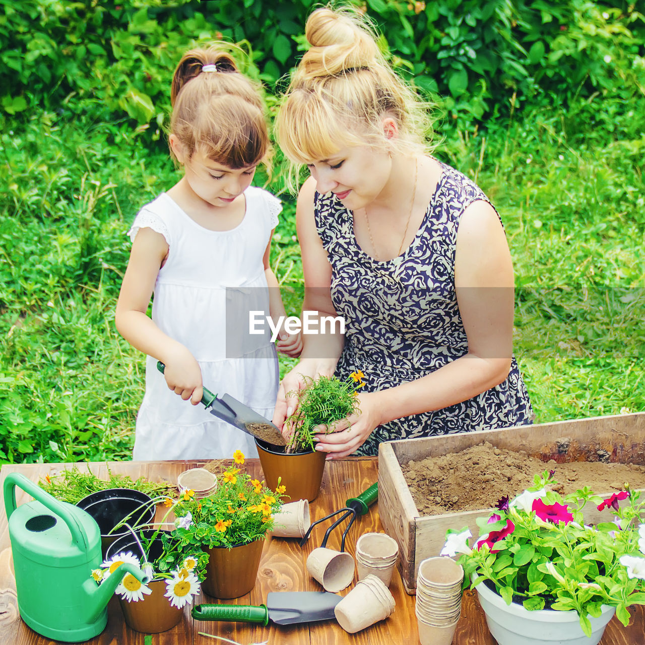 high angle view of senior man gardening in garden