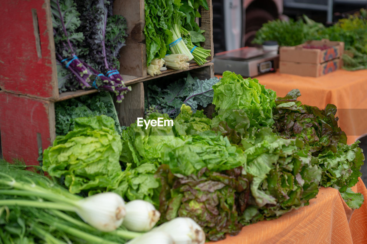 GREEN VEGETABLES FOR SALE IN MARKET