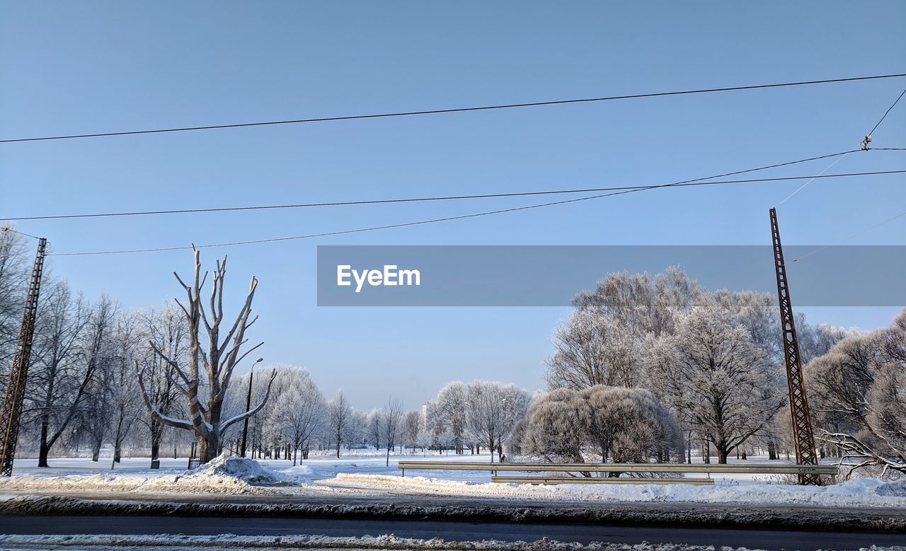 SNOW COVERED FIELD BY TREES AGAINST SKY