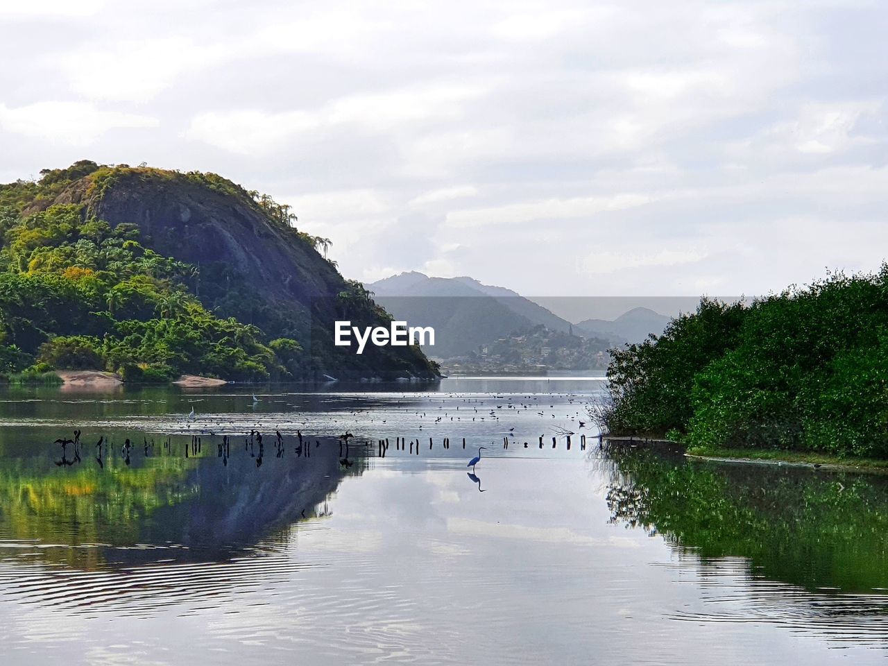 SCENIC VIEW OF LAKE BY TREES AGAINST SKY