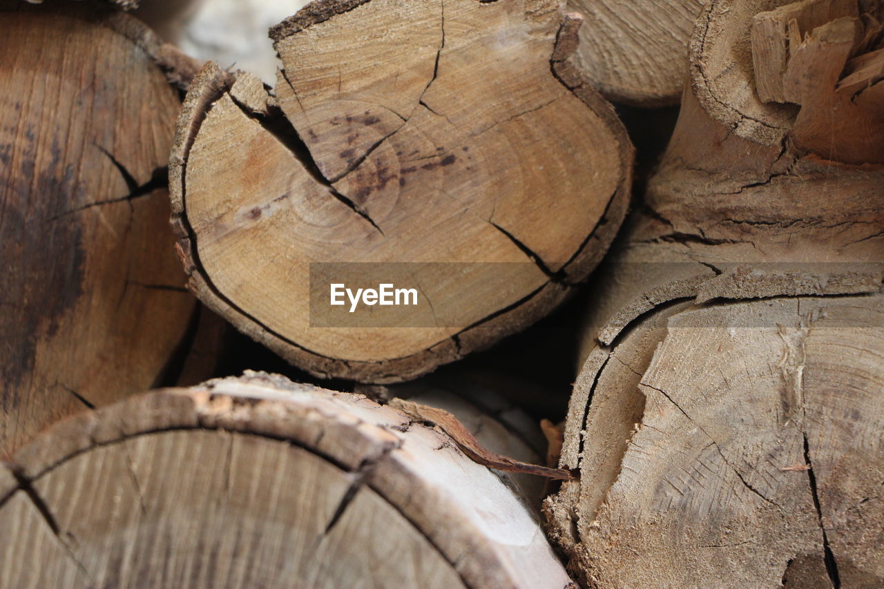 Full frame shot of logs in forest