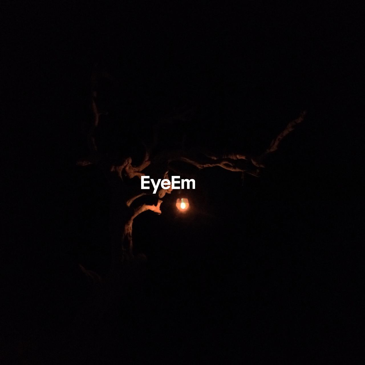 SILHOUETTE OF PEOPLE AT NIGHT