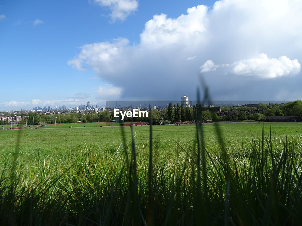 Scenic view of farm against sky