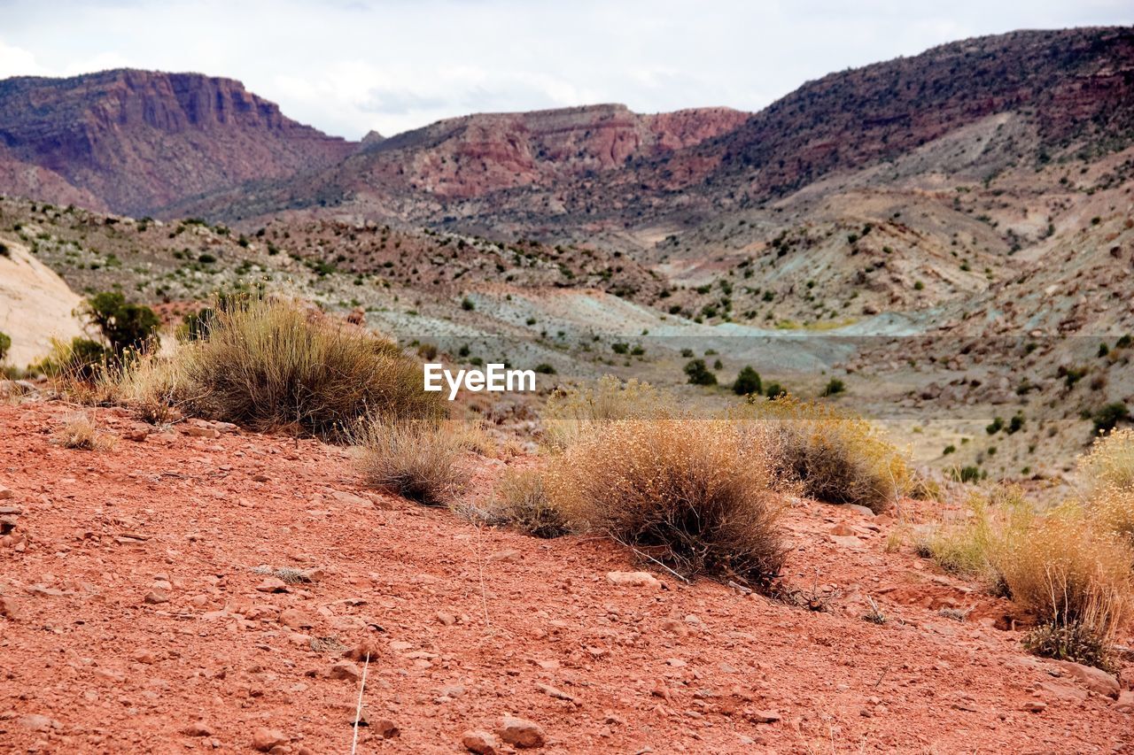 Scenic view of landscape at arches national park