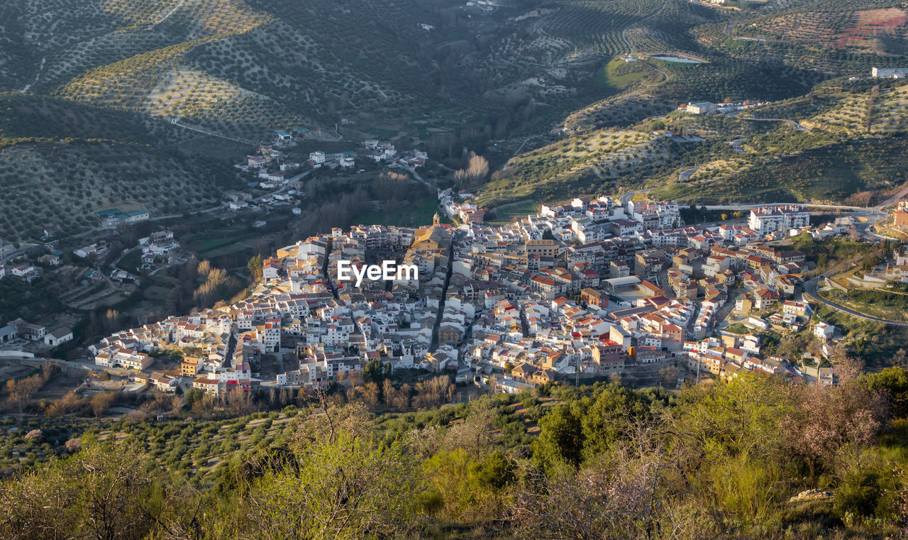 HIGH ANGLE VIEW OF TOWNSCAPE AND TREE IN TOWN