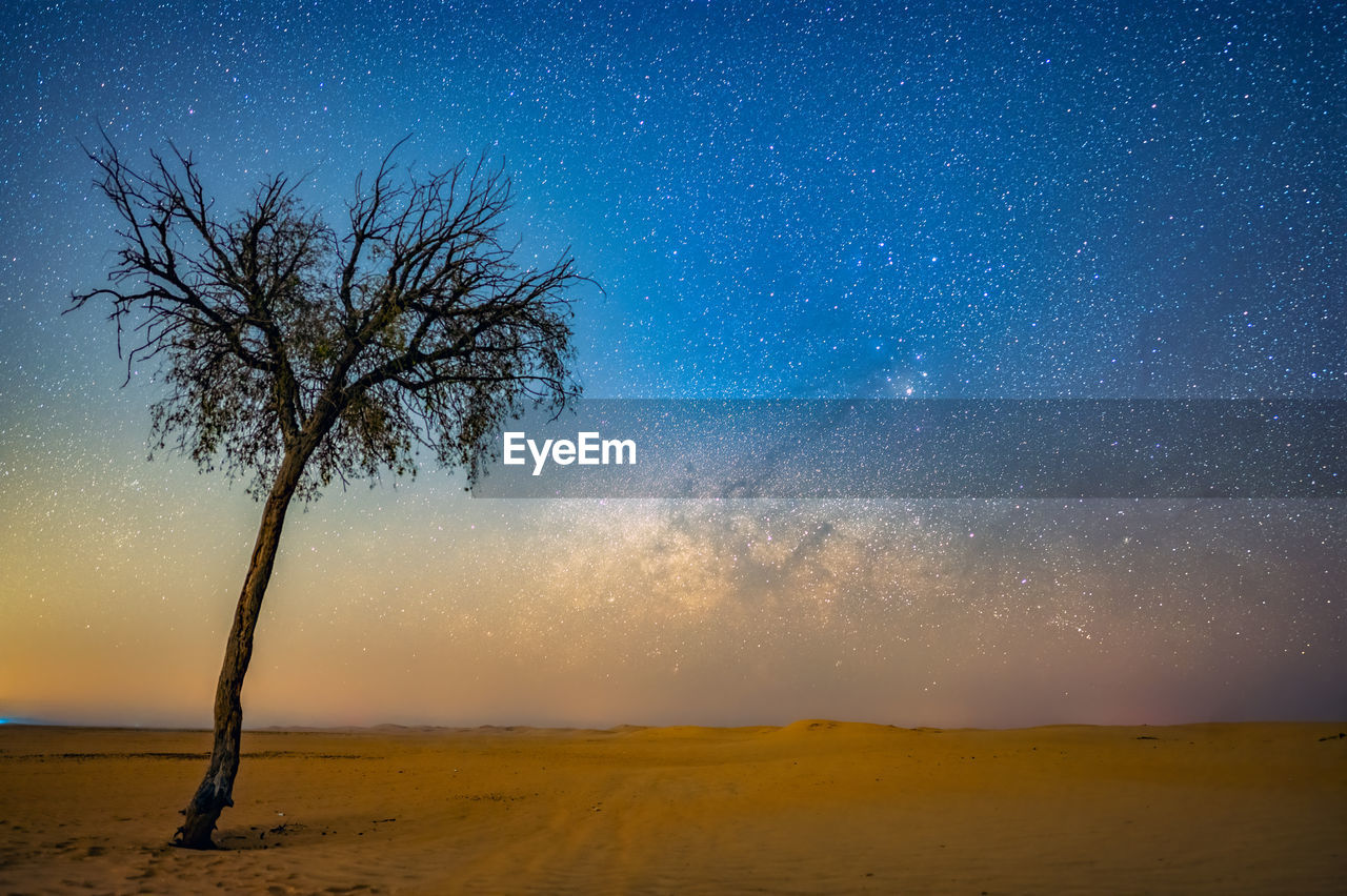 Scenic view of field against sky at night