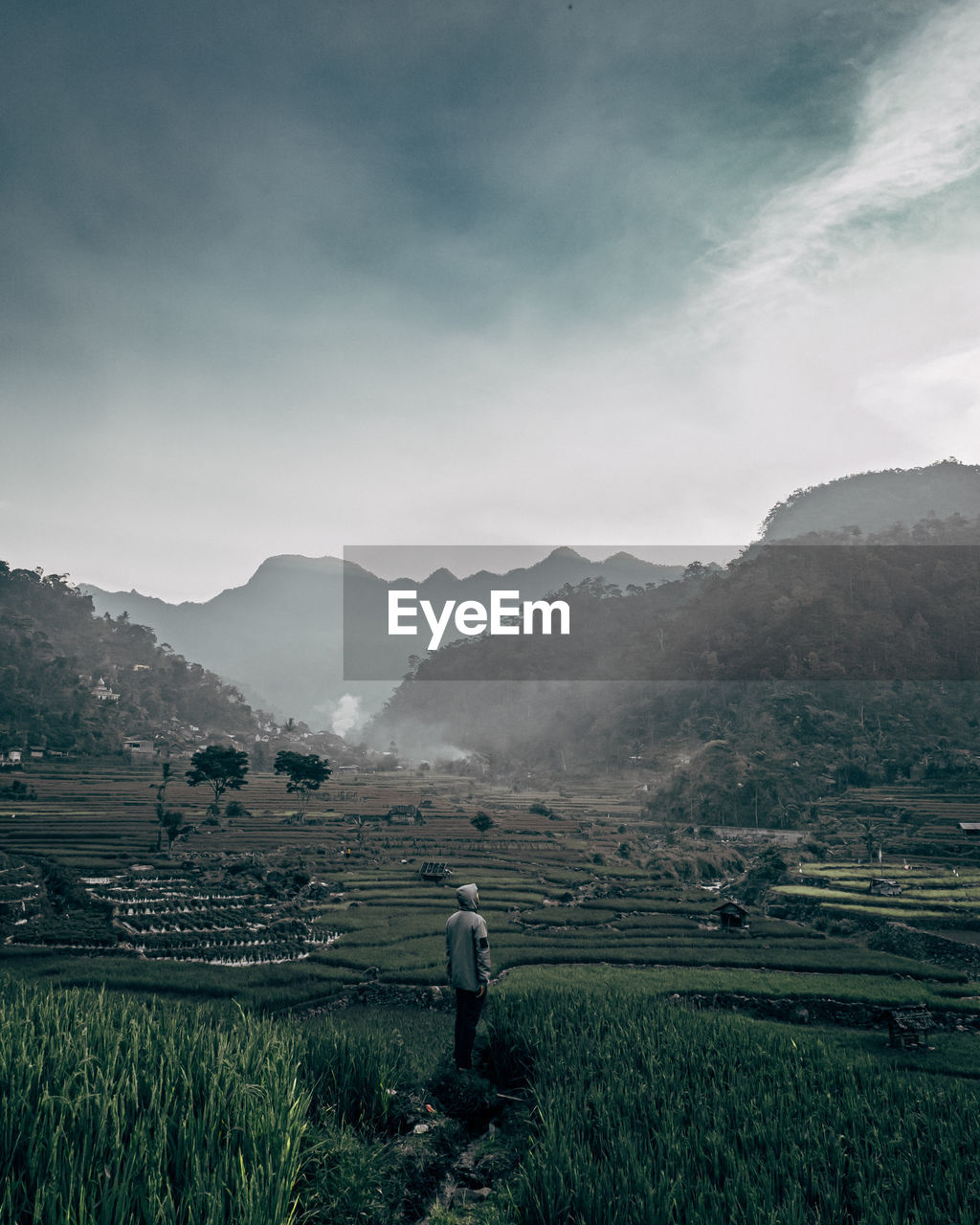 Scenic view of agricultural field against sky